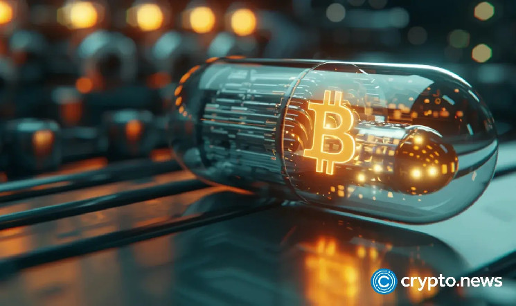 Избегаем похмелья после халвинга биткойна