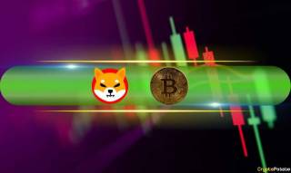 Криптовалютний ринок: Bitcoin піднявся, SHIB та PEPE зросли - огляд