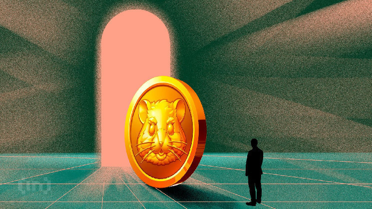 5 причин провала аирдропа Hamster Kombat (HMSTR)