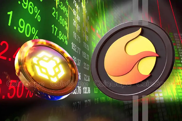 Надзвичайні очікування на зростання ціни LUNC перед майбутнім випалюванням на Binance