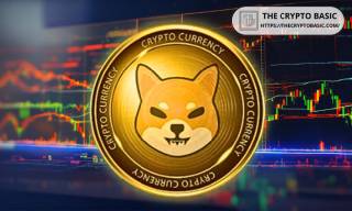 Прогнози для Shiba Inu: ріст ціни до $0,00007