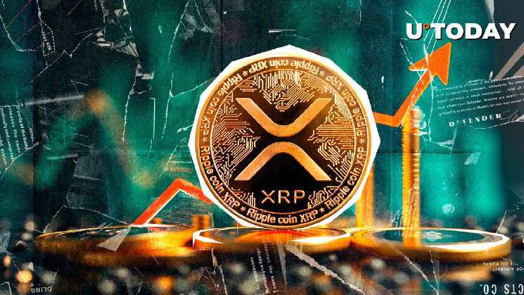 XRP рост на 800%: фонды вливают $800,000.

