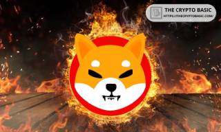 Увеличение сжигания токенов SHIB - важный шаг для сообщества
