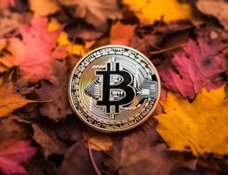 Позитивні зміни на крипторинку у вересні: Bitcoin на максимумі, Sui та Bittensor в лідерах зростання