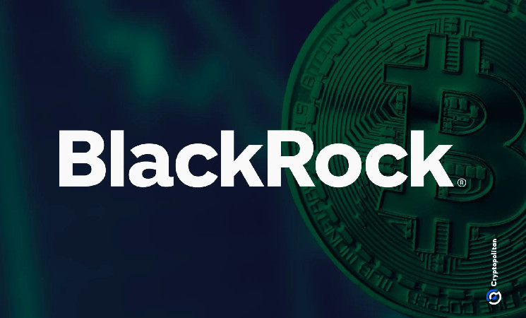 BlackRock залишається єдиним ETF, що купив біткоїн на фоні падіння ринку