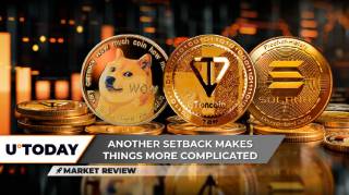 Dogecoin теряет 18%: волна китов предвещает новый бычий импульс, Toncoin сохраняет устойчивость, а Solana восстанавливается с ключевых уровней поддержки.