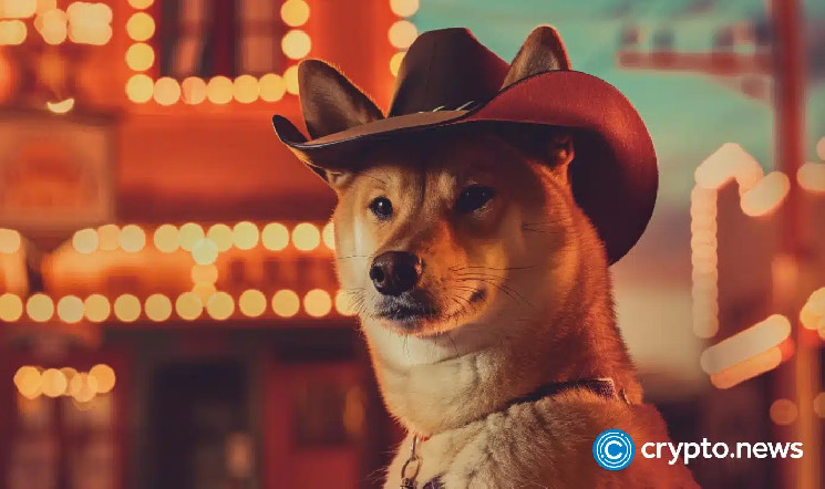 Сколько монет Shiba Inu в обращении: история, сжигание и будущее токенов