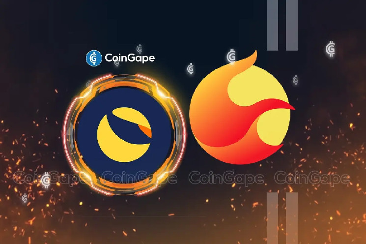 Terra Luna Classic завершила успешное обновление для внедрения Tax2Gas и рост цен на токены экосистемы