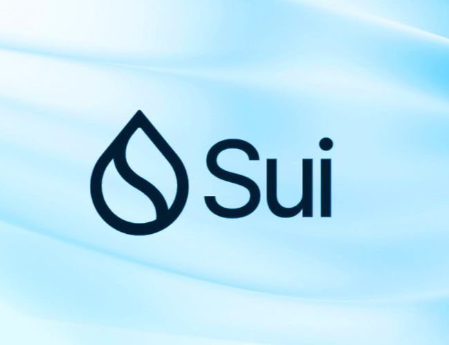 Трейдер мем-коинов потерял 25 миллионов долларов из-за преждевременной продажи HIPPO на Sui Network