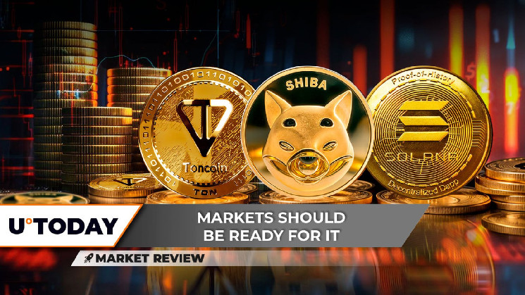 Восстановление цены Shiba Inu и его краткосрочные перспективы: что ждать в ближайшие 48 часов?