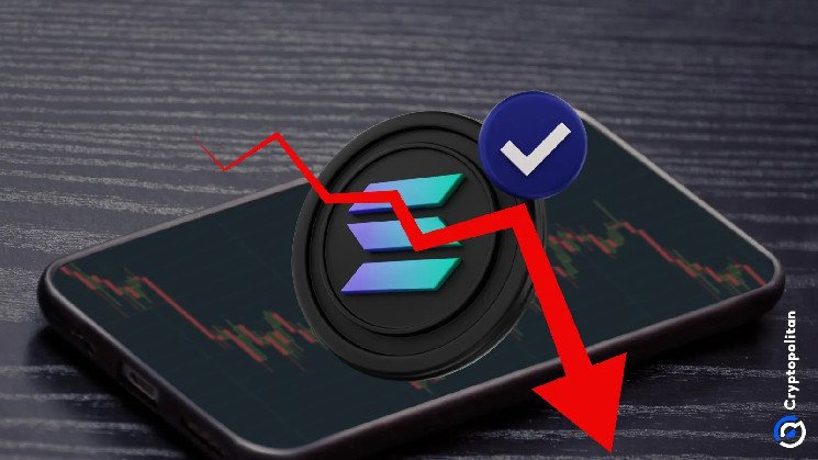 Солана испытывает спад: возможны ли дальнейшие потери после неудачной попытки пробить уровень $161?