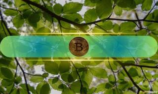 Чи відновиться ціна Bitcoin? Попит інвесторів і рекордні виводи з бірж вказують на можливе зростання.