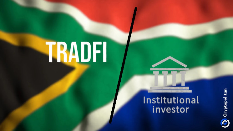 Криптобум в Южной Африке: Как традиционные финансы и институциональные инвесторы трансформируют рынок криптовалют