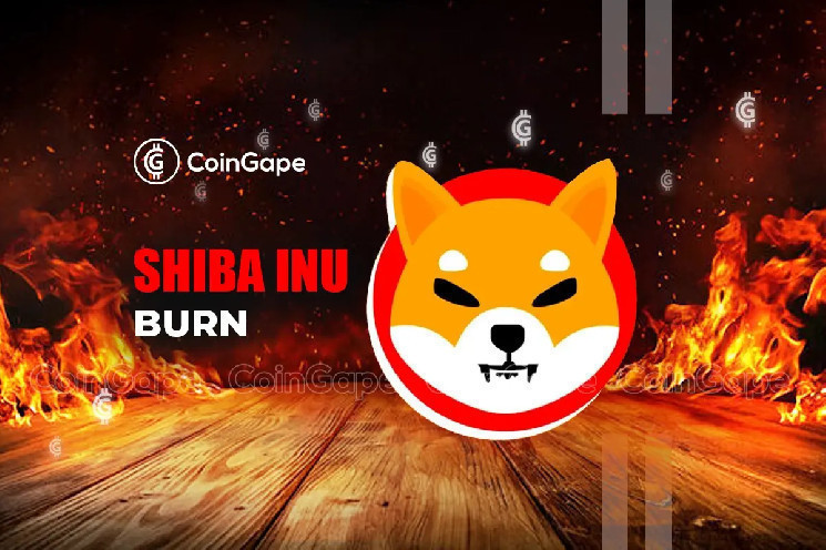 Рост сжигания токенов Shiba Inu на 1000% и влияние на цену SHIB: ожидания нового исторического максимума