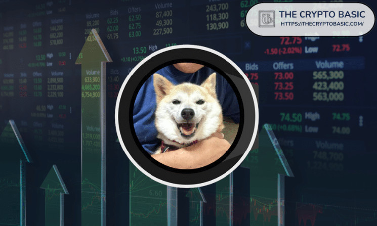 NEIRO вырос на 48%: как кит Rekt Dolphin.eth заработал $334,000 благодаря своему инвестиционному ходу