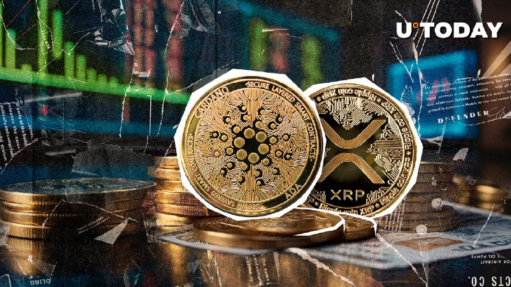 XRP на грани медвежьего рынка: анализ технических сигналов и ключевых уровней поддержки