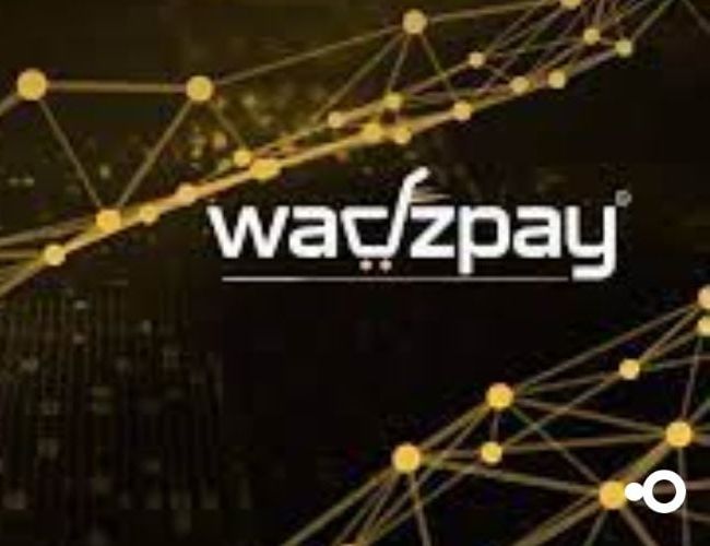 Восстановление доверия инвесторов к WTK: важность четкой коммуникации от WadzPay