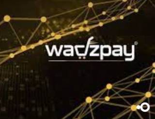 Комунікація WadzPay: ключ до відновлення WTK та довіри інвесторів
