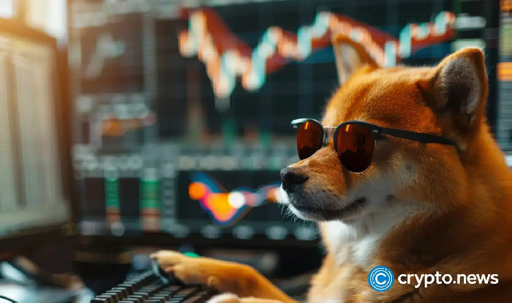 Рекордный рост SUI: открытый интерес и торговая активность на максимуме