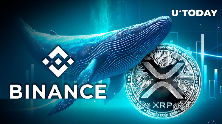 Криптожурнал: Кит XRP перемістив мільйони токенів на Binance