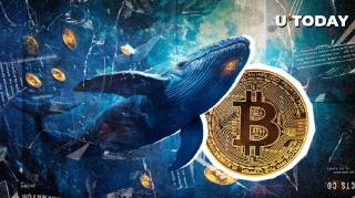 Гігантський биткоін-кит інвестує $696 мільйонів у BTC: чого очікувати далі?