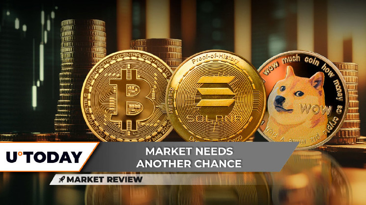 Биткойн и альткойны: волатильность, устойчивость и налоговые уровни поддержки