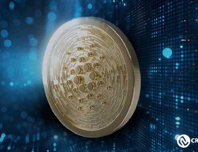 Кардано: высокая волатильность и ожидания бычьего рывка на рынке