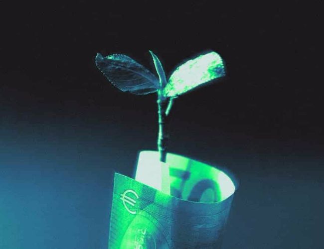 VeChain показывает бычьи сигналы: аналитик прогнозирует рост VET и ключевые уровни поддержки.