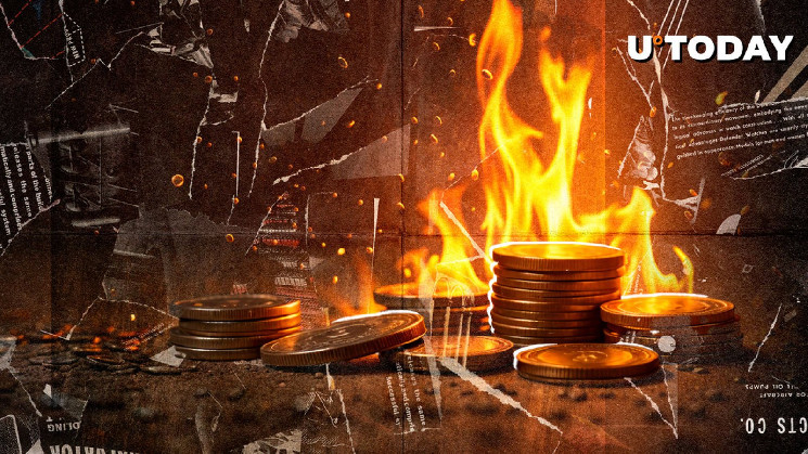 Первое сжигание токенов Dogs (DOGS) и Notcoin (NOT) на платформе TON прошло, но не впечатлило рынок