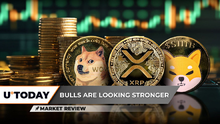 Шиба Ину формирует треугольник: возможны как прорывы вверх, так и падения, XRP держится у поддержки, DOGE сохраняет восходящий тренд несмотря на риски.