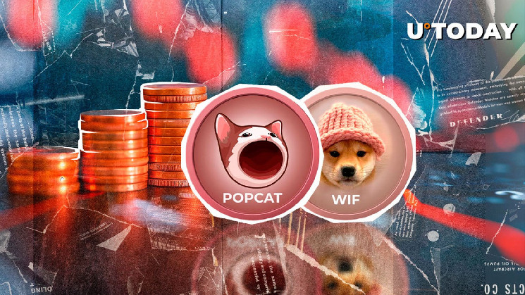 Мем-криптовалюты POPCAT и WIF продолжают падение в топ-100 на фоне общего спада рынка