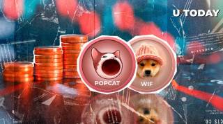 Мем-криптовалюти зазнають значних збитків: Popcat та Dogwifhat лідирують серед аутсайдерів ринку
