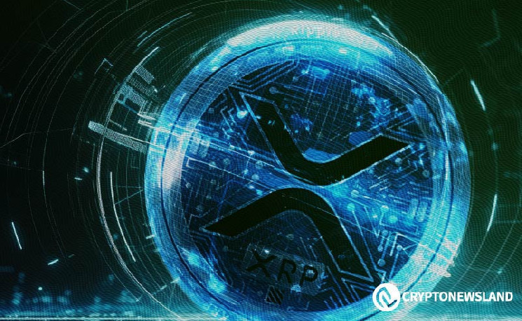 
Багатство XRP: розкриття можливостей