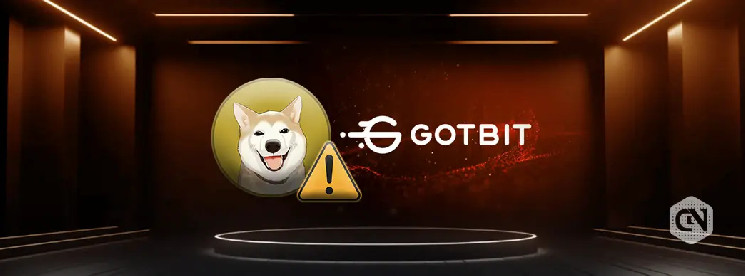 Neiro разрывает связи с Gotbit: попытка дистанцироваться от скандала или предвестие проблем?