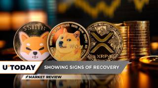 Шиба Іну на порозі зростання: ключові рівні ціни Dogecoin і спроба відновлення XRP