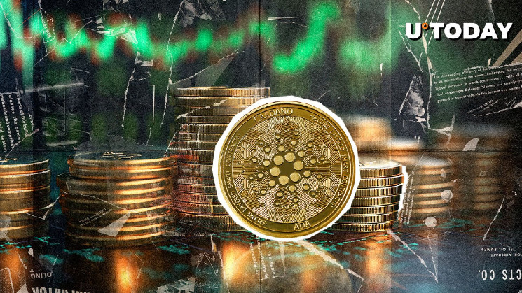 Оптимизм в Cardano: 4 причины для роста и развития экосистемы