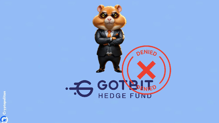 Hamster Kombat оправдывается: Мы не работали с Gotbit