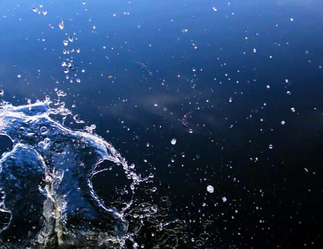 SUI на пороге прорыва: трейдеры ставят на рост выше $2 и оптимистично оценивают будущее криптовалюты