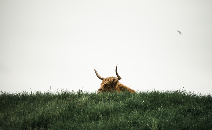 Растущая ликвидность на крипторынке: готов ли биткойн к восходящему тренду?