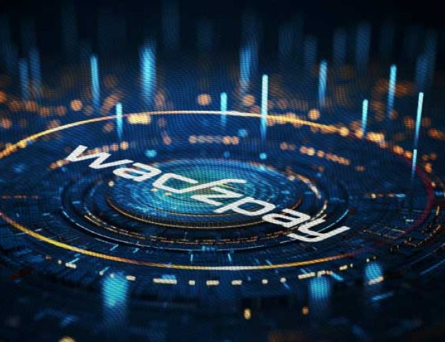 Кризис WTK WadzPay: мнения экспертов о доверии инвесторов и управлении блокчейном