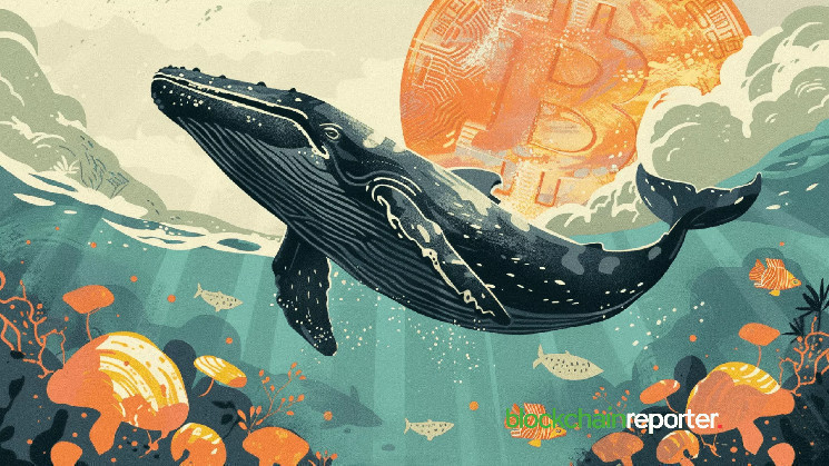 Великий інвестор купує 200 $BTC на фоні прибутку $181M та стратегічних маневрів на ринку криптовалют