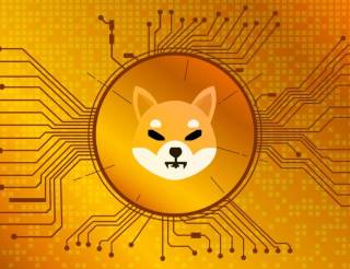 Шиба Ину: на пороге лунного запуска