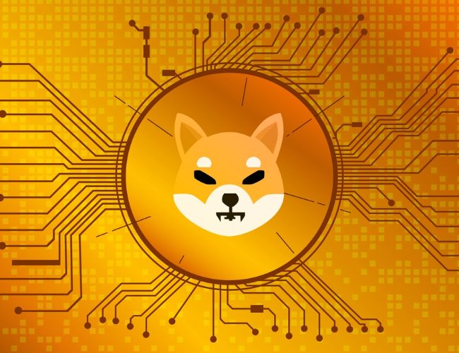 Віджар Іну: Шлях до проривуслобідності