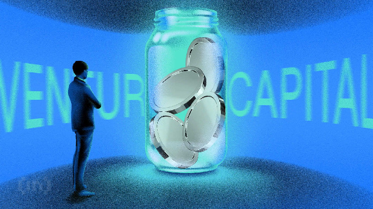 Ключевые критерии оценки криптопроектов венчурными капиталистами: от команды до маркетинга