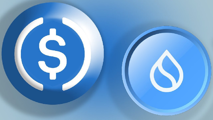 Sui: Лидер роста среди криптовалют с увеличением стоимости на 185% в 2023 году