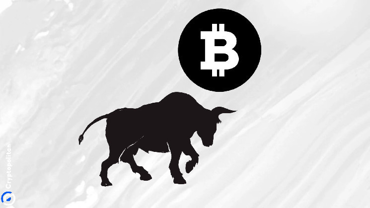 Биткойн может достичь 250 тысяч долларов к 2025 году: прогнозы и аналитика роста