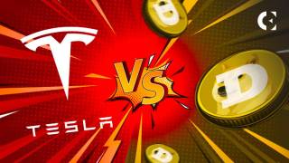 Tesla та DeLorean: Гонка за домінування в мем-криптовалютах SHIB та DOGE