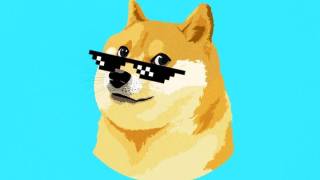 Dogecoin вырос на 10% за сутки после поддержки Илона Маска и его идеи создания Министерства эффективности правительства