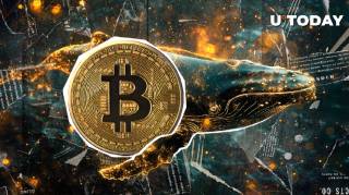 Нові біткоїн-валюти тримають 1.97 млн BTC: вплив інституційних інвесторів на ринок та можливі тенденції продажів