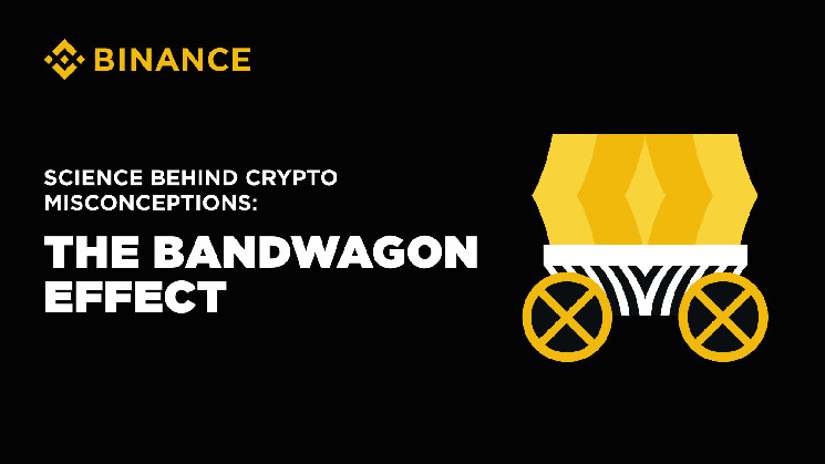 Эффект толпы в криптовалютном рынке: как массовые решения ведут к финансовым потерям